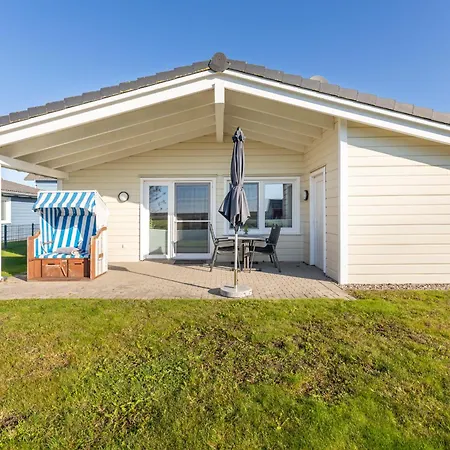 Felsenauster * Dagebüll